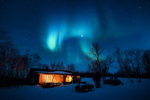 Winter Photo Hunting - The Real Challenge to Optics