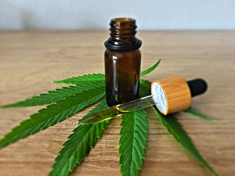 Winter Wonderland: 6 CBD Benefits for Skiers and Snowboarders