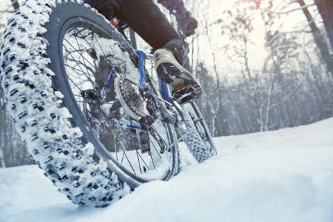 Are Fat Tire Bikes Better Than Regular Bikes?
