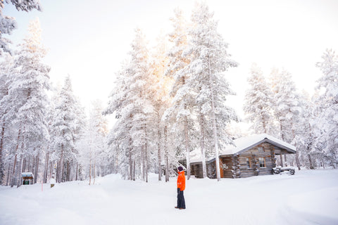 Northern Wonders: Traveling Through Lapland, Finland's Enchanted Wilderness