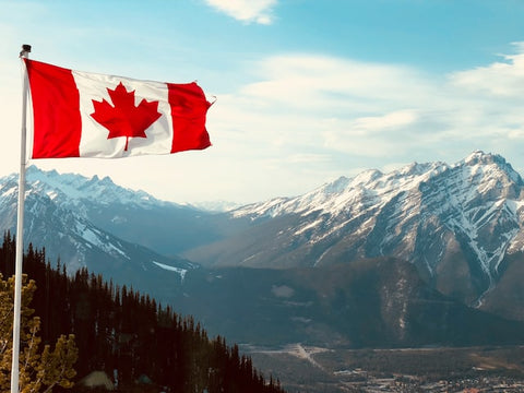 Top 5 Reasons for Gambling Popularity in Canada: Curious Aspects