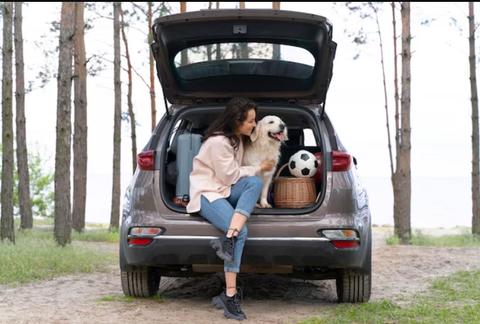 Pet Travel Accessories for Enjoyable Road Trips with Furry Friends