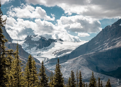 Canadian Resorts That Have It All and Why You Should Visit Them