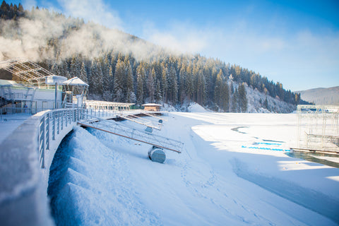 Top Global Ski Resorts Featuring Casinos