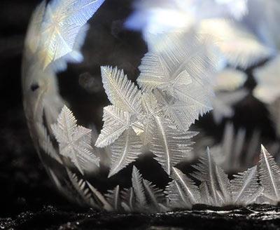 Winters Magic - Snowflake Photography โดย Don Komarechka Photography