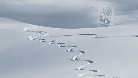 Quand est la saison des neiges ?