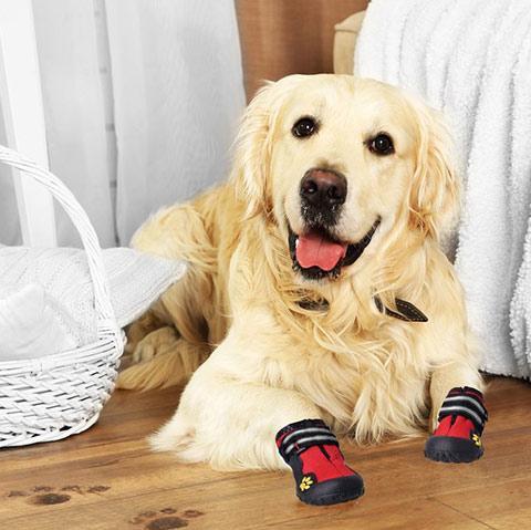 Best Dog Boots For Winter Snow & Rain | Waterproof Shoes For Outdoors On Sale
