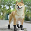 WATERPROOF Dog Rain Boots