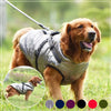 Veste matelassée imperméable CDDMPET pour chien