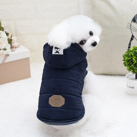 CDDMPET Chihuahua Coat Jacket