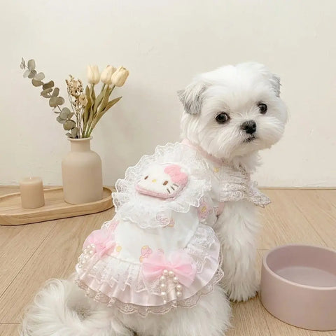 헬로키티 강아지 옷