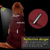 PET ARTIST Hund Regenjacke mit Kapuze