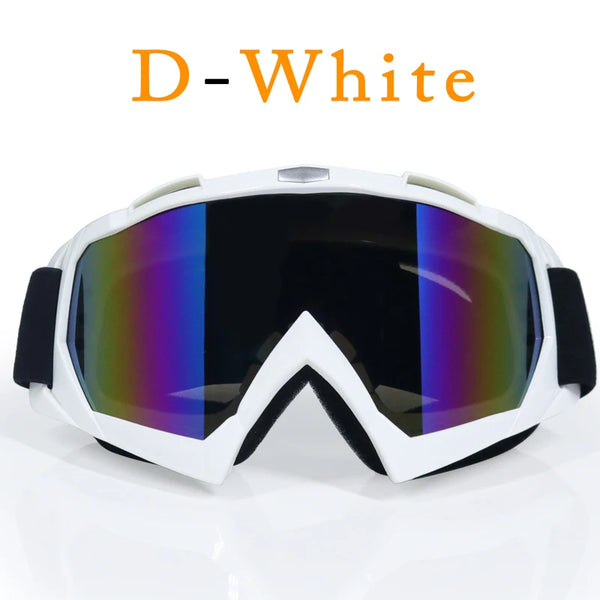 ORZ Ski Goggles