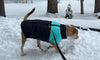 PETRAVEL Manteaux imperméables pour chien avec trou pour harnais