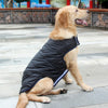 DRESSPET Manteau pour chien semi-imperméable