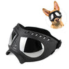 SKI Doggles For Dogs