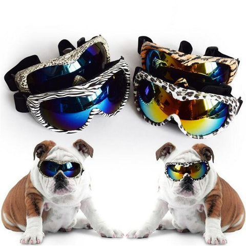 Gafas para perros DOGBABY para perros pequeños para esquiar / hacer snowboard