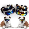 Lunettes de chien DOGBABY pour petits chiens à ski / snowboard