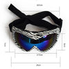 Lunettes de chien DOGBABY pour petits chiens à ski / snowboard