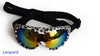 Lunettes de chien DOGBABY pour petits chiens à ski / snowboard