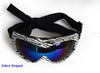 Lunettes de chien DOGBABY pour petits chiens à ski / snowboard