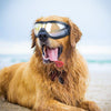 DOGIBILA Große Hund Skibrille