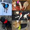 PET ARTIST Dog Thermal Coat