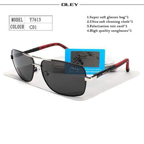 Gafas de sol de conducción POLARIZADAS
