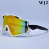 PRO Windproof Tinted Ski Snowboard Goggles
