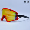 PRO Windproof Tinted Ski Snowboard Goggles