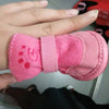 SYDZSW Dog Slipper Socken