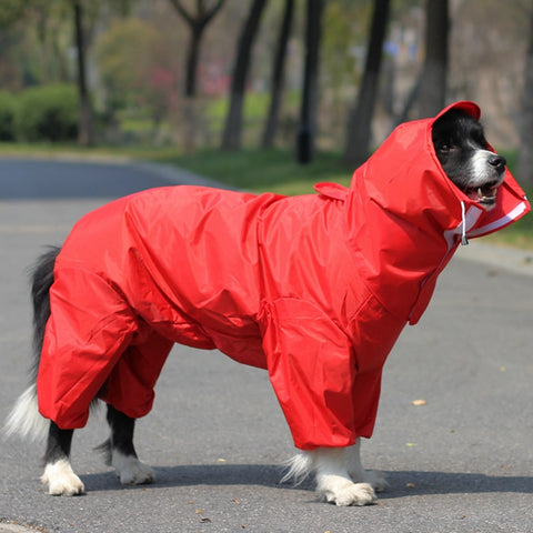 Manteau de pluie LOYAL pour grands chiens