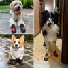 Warme rutschfeste Hundestiefel für Schnee