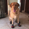 PET ARTIST Waterproof Dog Socks