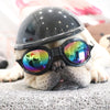 BROTHER Dog Eye Glasses / Snow Goggles