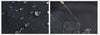 THE ARCTIC LIGHT Softshell-Ski-Snowboardhose - Damen