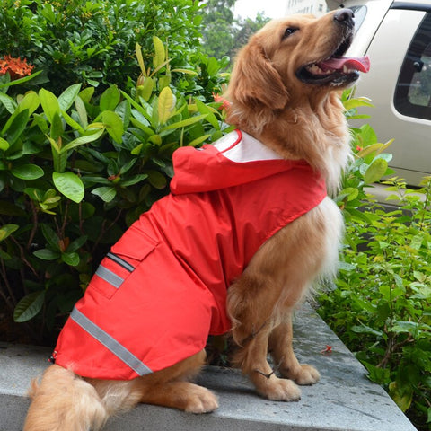 Poncho de lluvia para perro DOGBABY
