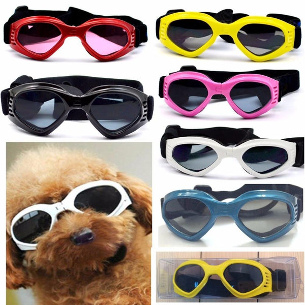 TAILUP Sundog Sunglasses